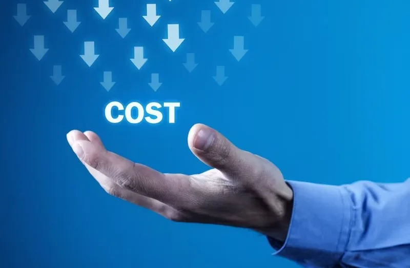 Cost-Competitiveness Cost Competitiveness